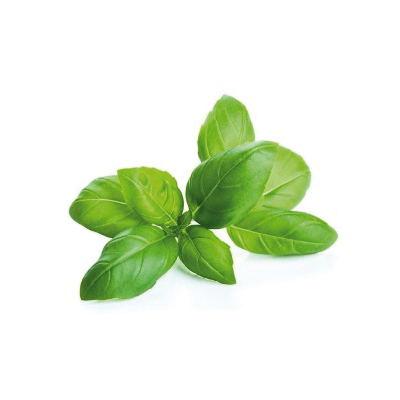 Alfàbrega eco 30gr