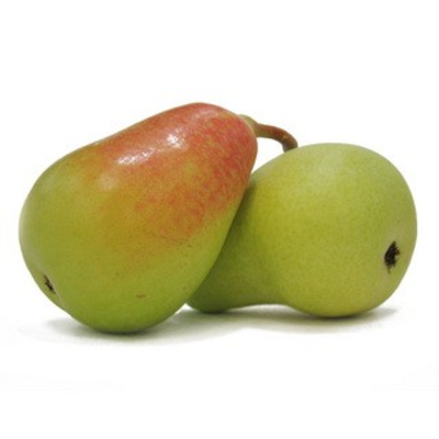 Pera ercolina eco Pera ercolina eco