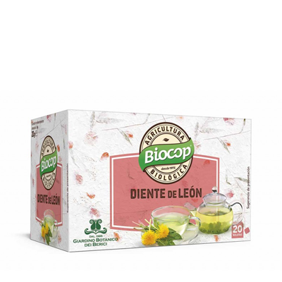 Infusió dent de lleó Infusió dent de lleó
