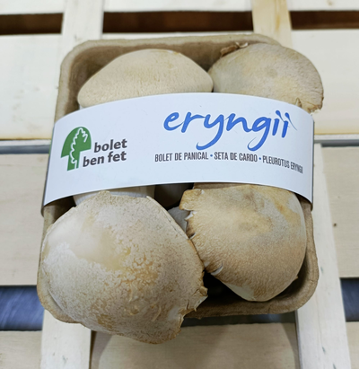 Eryngii Bolet de card eco 170gr