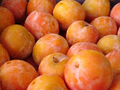 Pruna mirabolà Pruna mirabolà