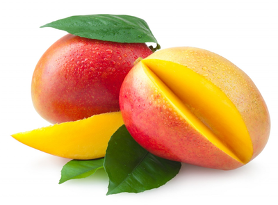 Mango Eco Mango Eco