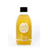 Vitae Kombucha llimona i gingebre 250ml