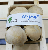 Eryngii Bolet de card eco 170gr