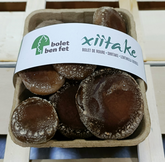 Xiïtake o bolet de roure eco 200gr