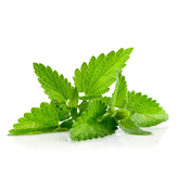 Menta eco 30gr